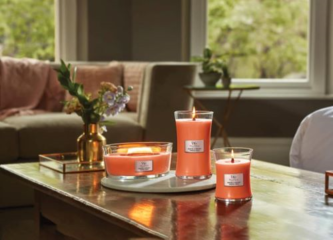 Tamarind & Stonefruit WoodWick