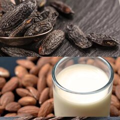 WoodWick Tonka & Almond Milk