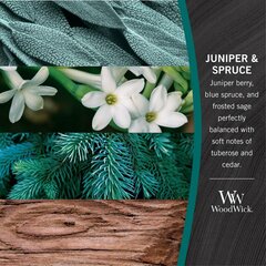 WoodWick® Juniper & Spruce