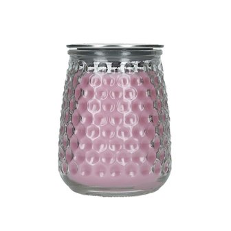 Greenleaf Prosecco Plum Signature Candle