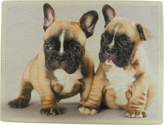 Mars_and_More_Deurmat_Franse_Bulldog_Pups