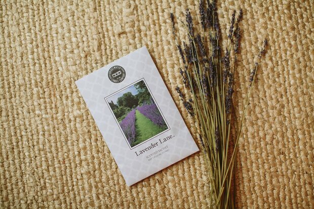 Bridgewater Candle Geurzakje Lavender Lane