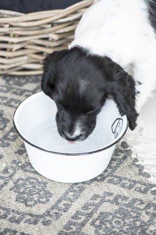 IBLaursen_Bowl_for_Dog_enamel