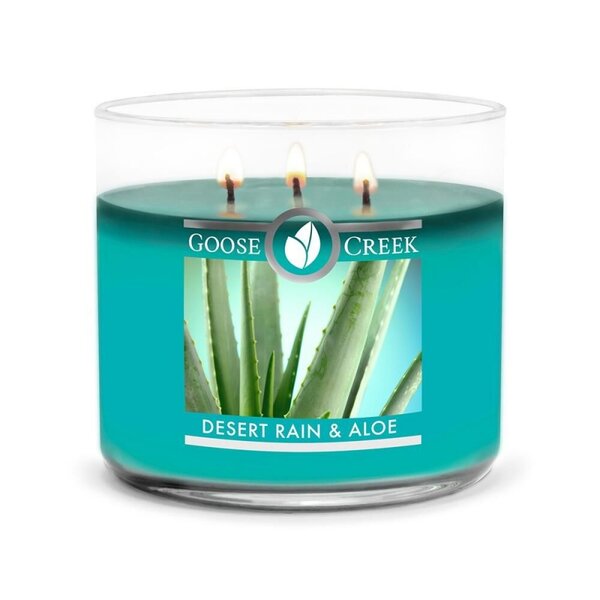 Goose Creek Desert Rain Aloe 3 wick candle