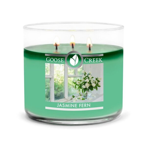 Goose Creek Jasmin Fern 3 wick candle