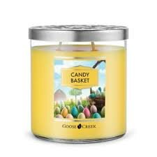 Goose Creek Candle Candy Basket 2 wick tumbler guerkaars