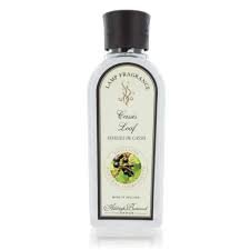 Ashleigh_Burwood_Geurlampolie_Cassis_Leaf_500ml