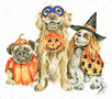 Wrendale_Designs_Borduurpakket_Halloween_The_Best_Treat_Of_All-www.sfeerscent.nl