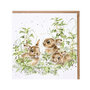 Wrendale_Designs_Greeting_Card_Leveret_Spring_Hares