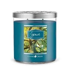 Goose Creek Candle Grace Soy Blend 2 Wick Tumbler