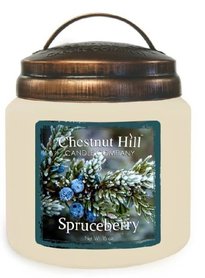 CHESTNUT HILL Candles Geurkaars met 2 lonten SPRUCEBERRY 450g  CHESTNUT HILL Candles Geurkaars met 2 lonten SPRUCEBERRY 450g