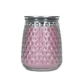Greenleaf Prosecco Plum Signature Candle