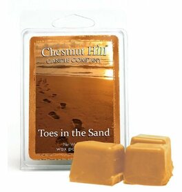 CHESTNUT HILL Candles Waxmelt TOES IN THE SAND  CHESTNUT HILL Candles Waxmelt TOES IN THE SAND