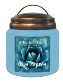 CHESTNUT HILL Candles Geurkaars met 2 lonten BLUE AGAVE 450g  CHESTNUT HILL Candles Geurkaars met 2 lonten BLUE AGAVE 450g