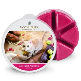 Goose Creek My First Autumn Wax Melt / proefblokje beschikbaar Goose Creek My First Autumn Wax Melt / proefblokje beschikbaar