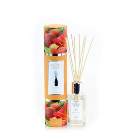 Ashleigh & Burwood Reeddiffuser White Peach & Lily 150ml 