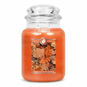 Goose Creek Candle Cold Autumn Leaves 24oz Large Jar Goose Creek Candle Cold Autumn Leaves 24oz Large Jar