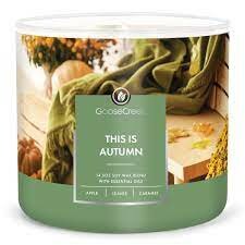 Goose Creek Candle This is Autumn Soya Blend 3 Wick Tumbler  Goose Creek Candle This is Autumn Soya Blend 3 Wick Tumbler