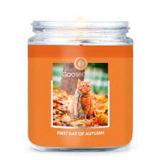 Goose Creek Candle First Day of Autumn Mini Geurkaars Soya Blend 1 Wick Tumbler  Goose Creek Candle First Day of Autumn Mini Geurkaars Soya Blend 1 Wick Tumbler