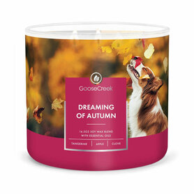 Goose Creek Candle Dreaming of Autumn Soya Blend 3 Wick Tumbler  Goose Creek Candle Dreaming of Autumn Soya Blend 3 Wick Tumbler