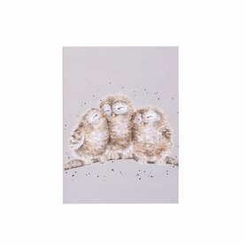 Wrendale Designs Notiteboek A6 Owl ''Owlets''