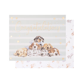 Wrendale Designs Geboortekaart Little Paws "Congratulations" Wrendale Designs Geboortekaart Little Paws "Congratulations"