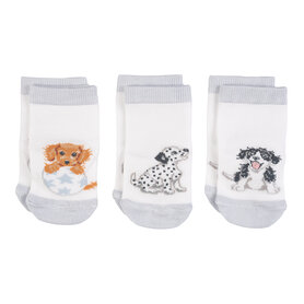 Wrendale Designs Babysokken - " Little Paws " - Dog Wrendale Designs Babysokken - " Little Paws " - Dog