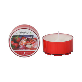 Goose Creek Candle® Fireflies Summer Slices – Citrus & Fruit Geur Goose Creek Candle® Fireflies Summer Slices – Citrus & Fruit Geur